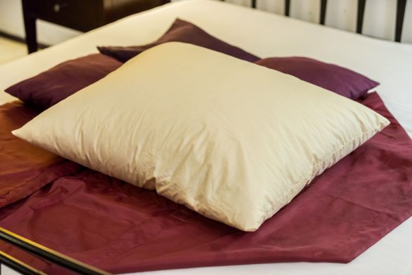 Poduszka z pierza – 70 cm x 80 cm – ecru