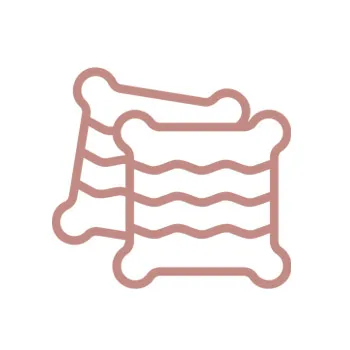 Ikona